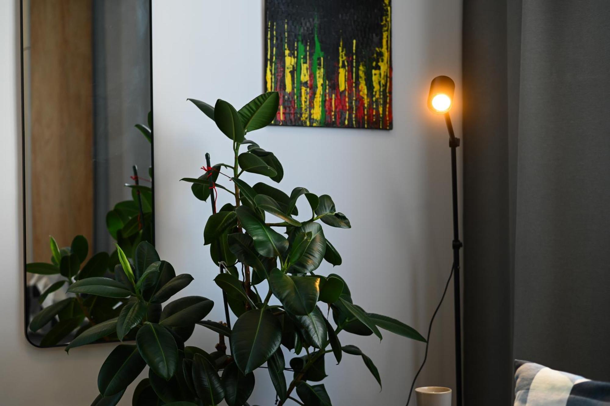 City Center Studio - Comfy & Modern Bratislava Luaran gambar